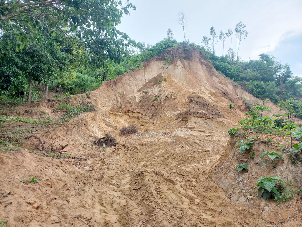 পাহাড় কাটার প্রতিবাদ করায় জুলাইযোদ্ধার ওপর হামলার অভিযোগ বিএনপি নেতার বিরুদ্ধে
