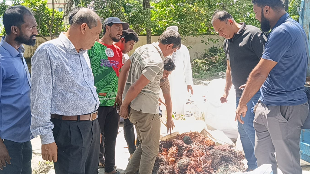 চাঁদপুরের মতলব উত্তরে চুরি যাওয়া ট্রান্সফরমারের যন্ত্রাংশ উদ্ধার। ছবি: সংগৃহীত
