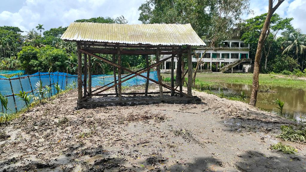 চরফ্যাশনে সরকারি প্রাথমিক বিদ্যালয়ের জমি দখল করে ঘর নির্মাণের অভিযোগ