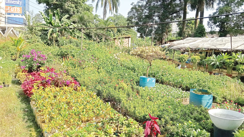 মসজিদের জমি এখনো দখলে কৃষক লীগ নেতার