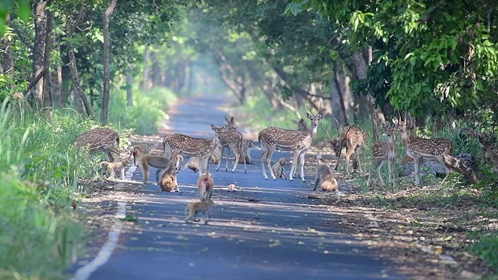 নেপালের অদেখা জগৎ