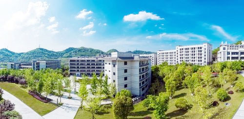 চীনের চংকিং বিশ্ববিদ্যালয়ে সম্পূর্ণ অর্থায়িত বৃত্তি