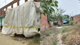 দুই ভাইয়ের চালচলনে গ্রামবাসীর সন্দেহ, মাটি খুঁড়ে মিলল কোটি-কোটি টাকা