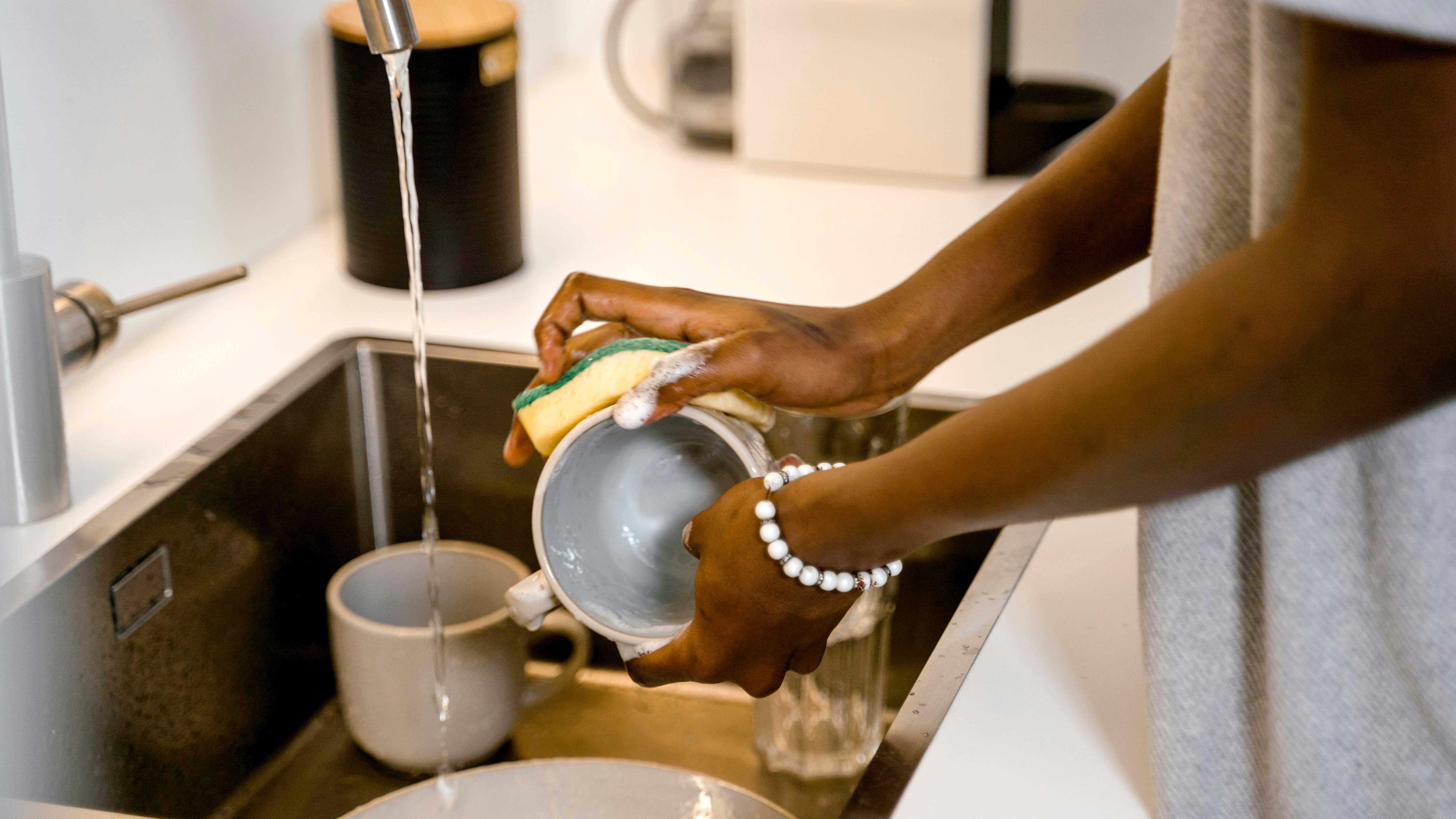 বাসন মাজার স্পঞ্জ কখন পাল্টাবেন