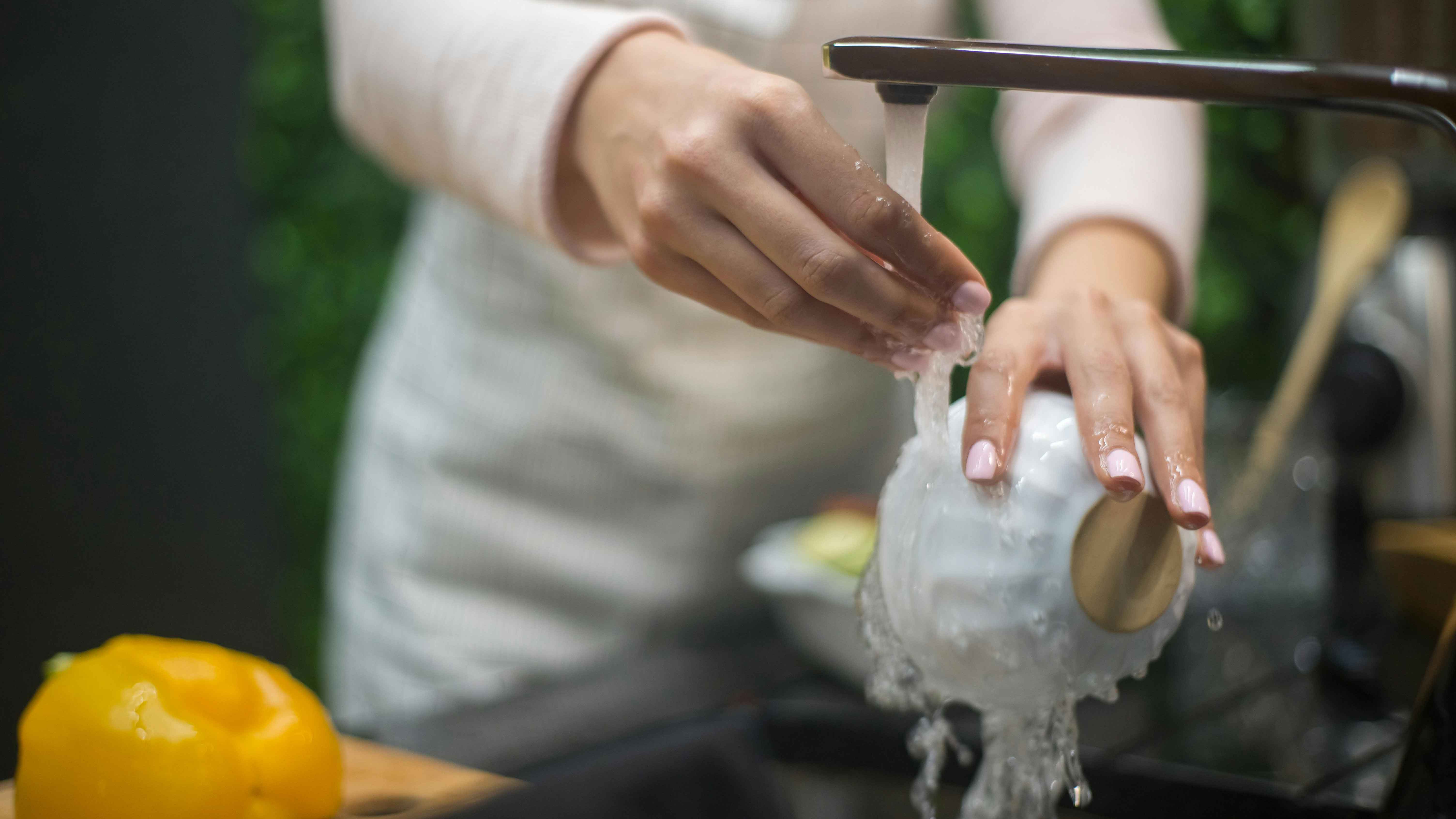 বাসন ধুতে গিয়ে হাত শুষ্ক হওয়া ঠেকাতে বেছে নিন ডিশওয়াশিং লিকুইডের প্রাকৃতিক বিকল্প