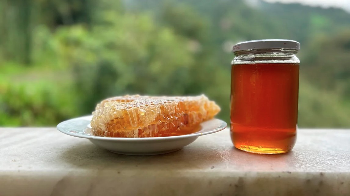মধুতে বিষ! শত শত বছর ধরে খেয়ে চলেছে মানুষ এই বিশেষ মধু