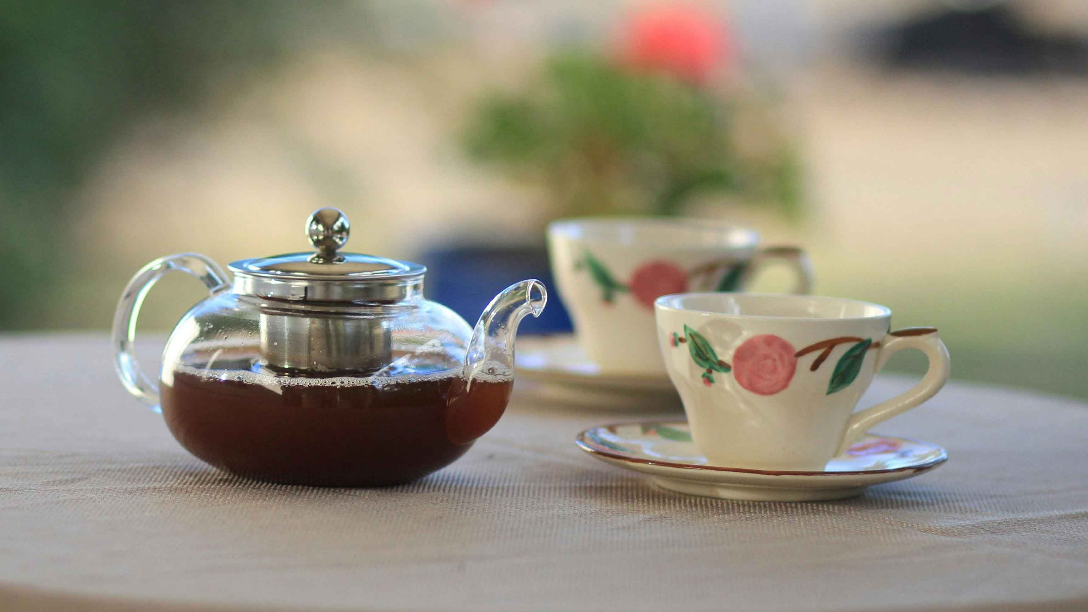 ইফতার ও সেহরির মাঝে গ্রিন টি পান করুন সঠিক উপায়ে