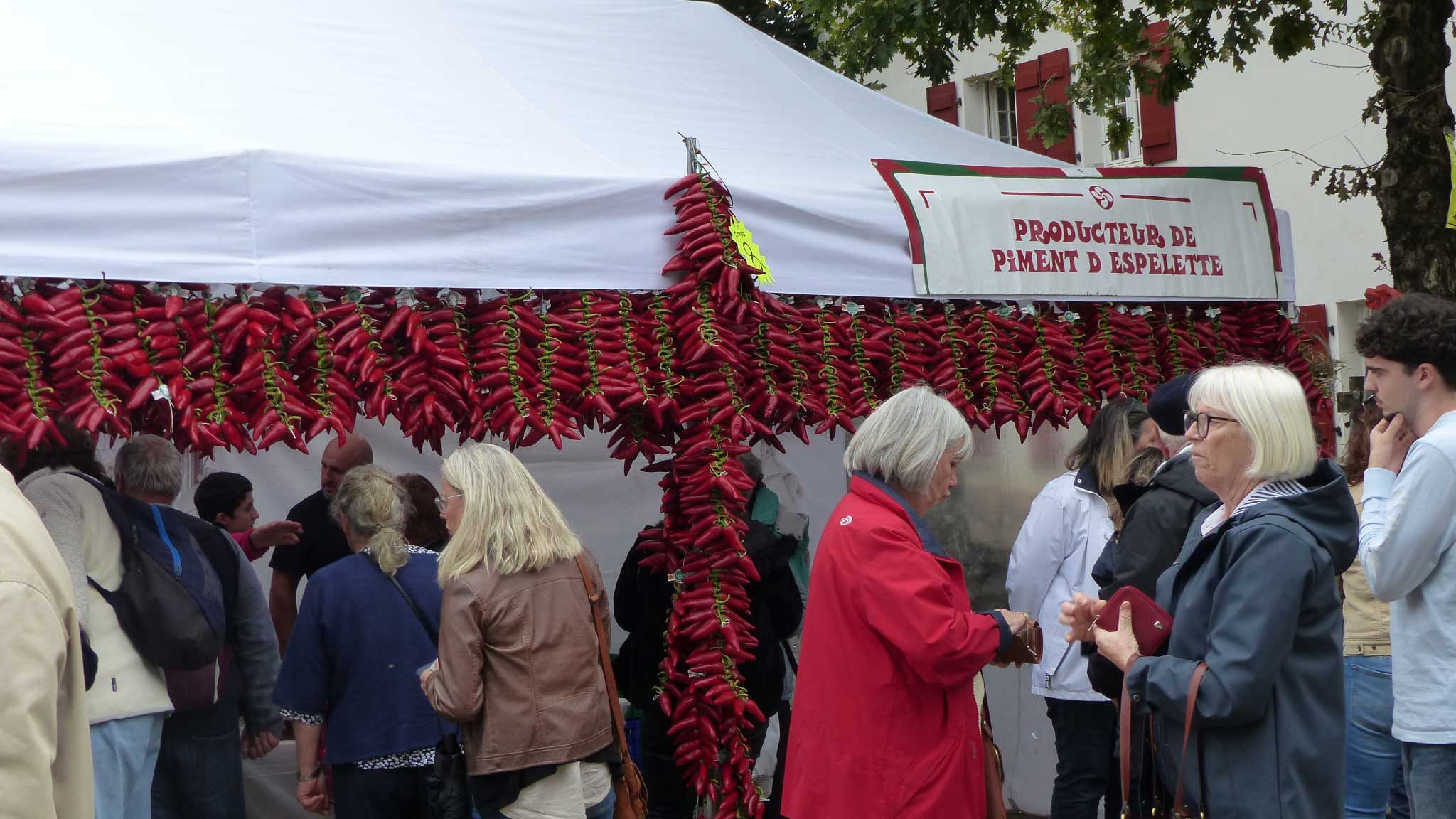 পৃথিবীর একমাত্র মরিচ উৎসবে একদিন