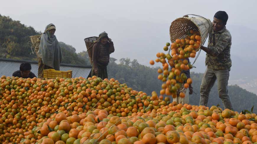 এক তরুণের হাত ধরে ভাগ্য ফিরল পুরো গ্রামের
