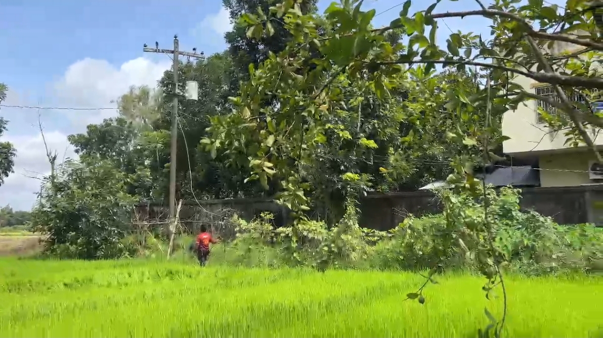 ফটিকছড়িতে ছেঁড়া তারে বিদ্যুতায়িত হয়ে কৃষিশ্রমিকের মৃত্যু