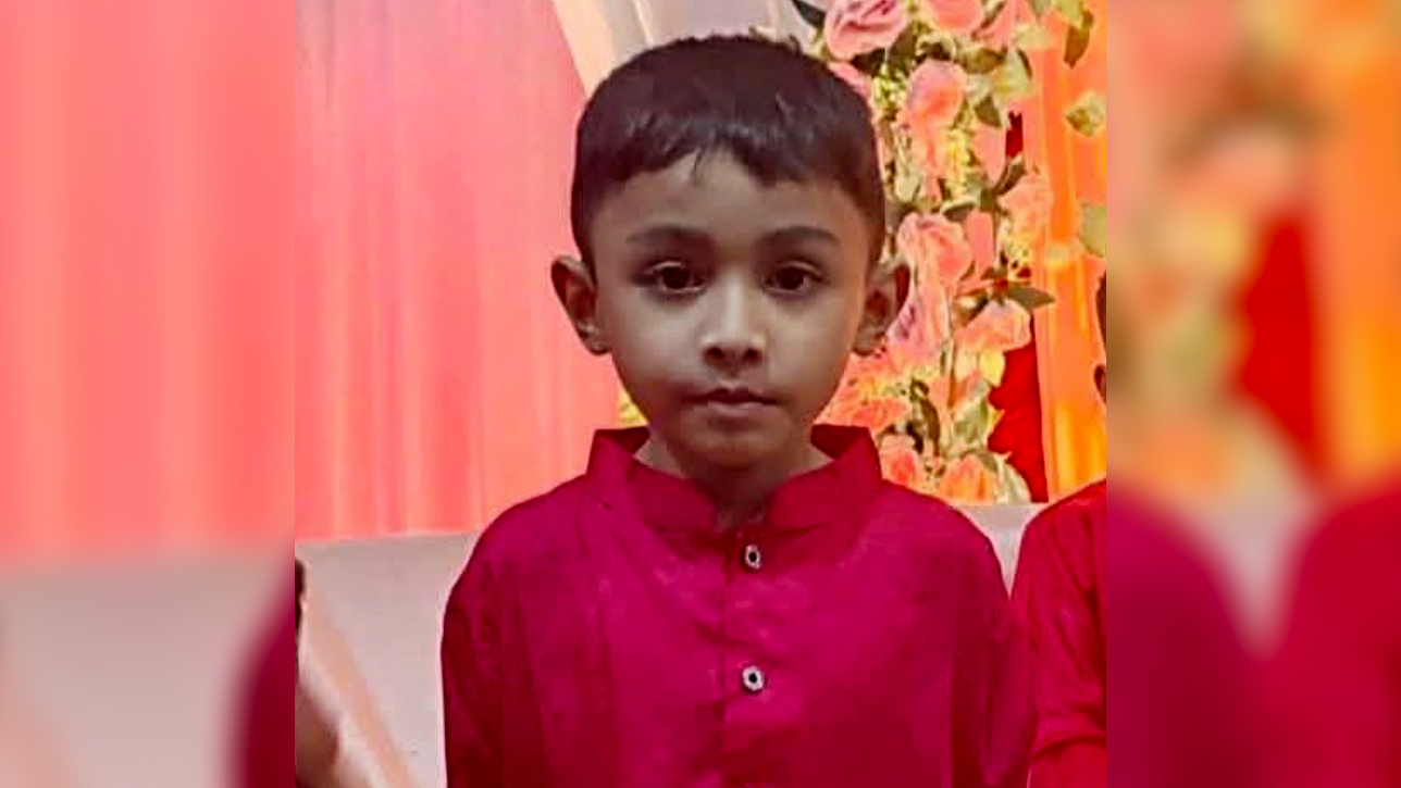 এবার চন্দনাইশে ভিমরুলের কামড়ে শিশুর মৃত্যু