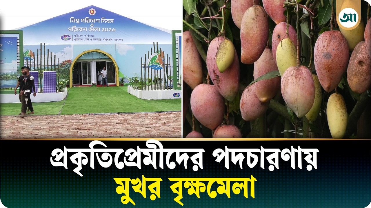 আলফানসো থেকে আপেল ম্যাঙ্গো, রাজধানীর বৃক্ষমেলায় বাহারি আমের সমাহার