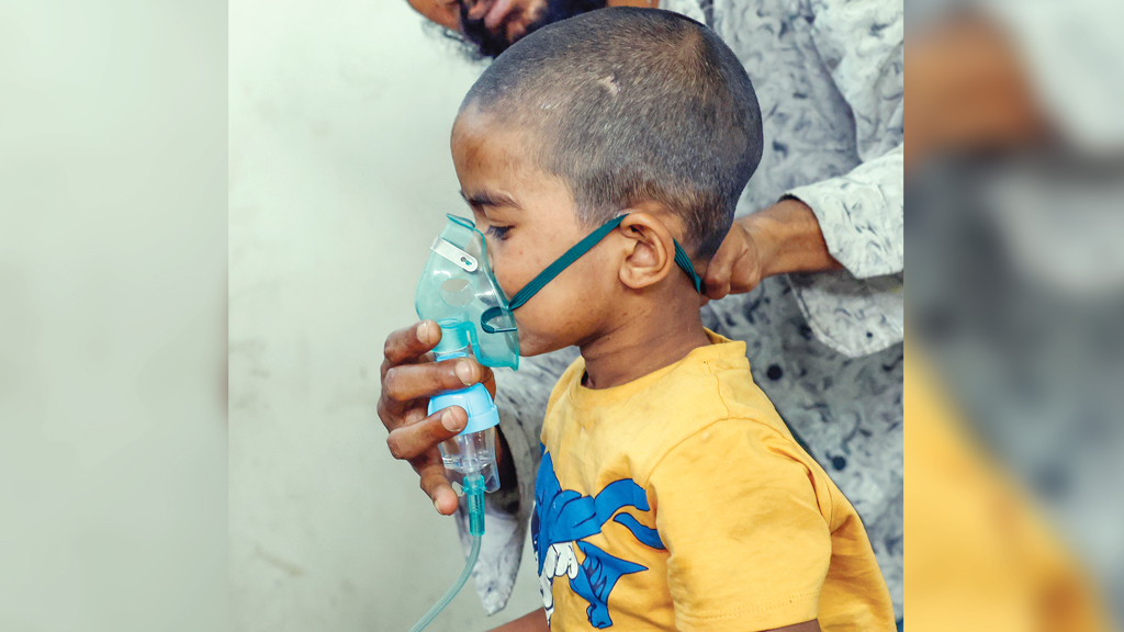 জেনে নিন, হাম নিয়ে কোন কোন ধারণা ভুল