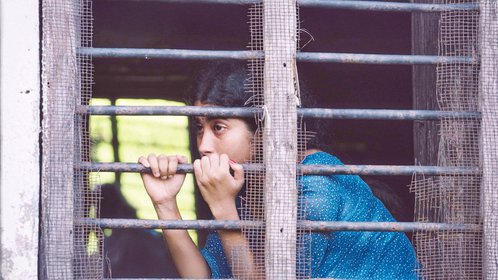 রটারড্যাম উৎসবে ‘দেলুপি’