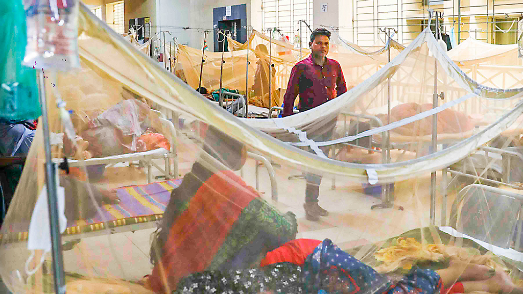 ডেঙ্গুতে আক্রান্তের সংখ্যা বেড়েই চলেছে, রোগী বেশি বরগুনায়