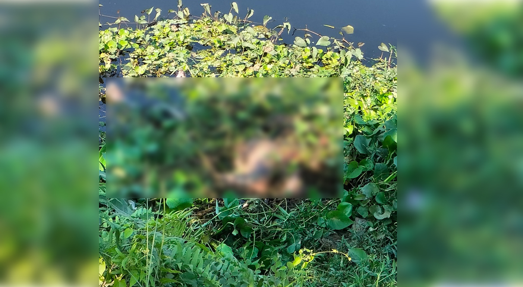 ৪ দিন আগে নিখোঁজ কিশোরের অর্ধগলিত লাশ মিলল দিয়াবাড়ির লেকে
