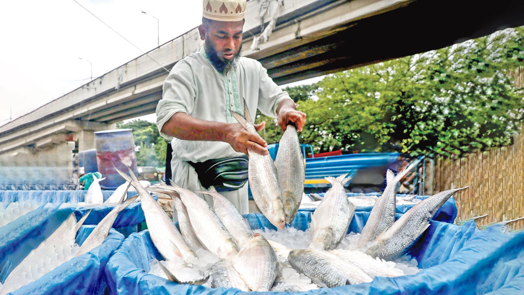 ভরা মৌসুমেও আকাল, দামে আগুন