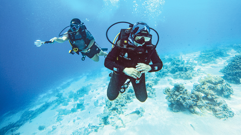 সাগরতলের বিচিত্র জগতে শাহেলা