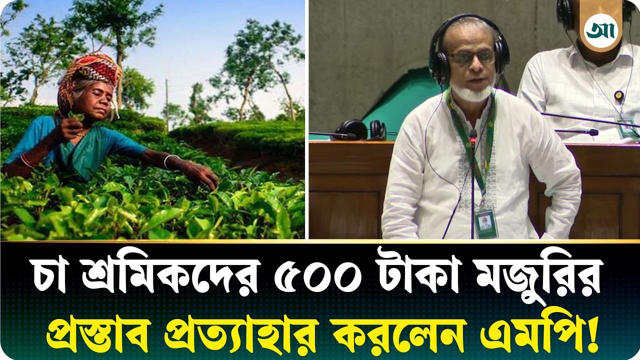 চা-শ্রমিকদের ৫০০ টাকা মজুরি দাবি, প্রস্তাব প্রত্যাহারের নেপথ্যে কী