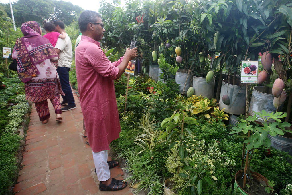 বৃক্ষমেলায় আমগাছের ছবি মোবাইল ফোনে ধারণ করছেন এক দর্শনার্থী। ছবি: ওমর ফারুক