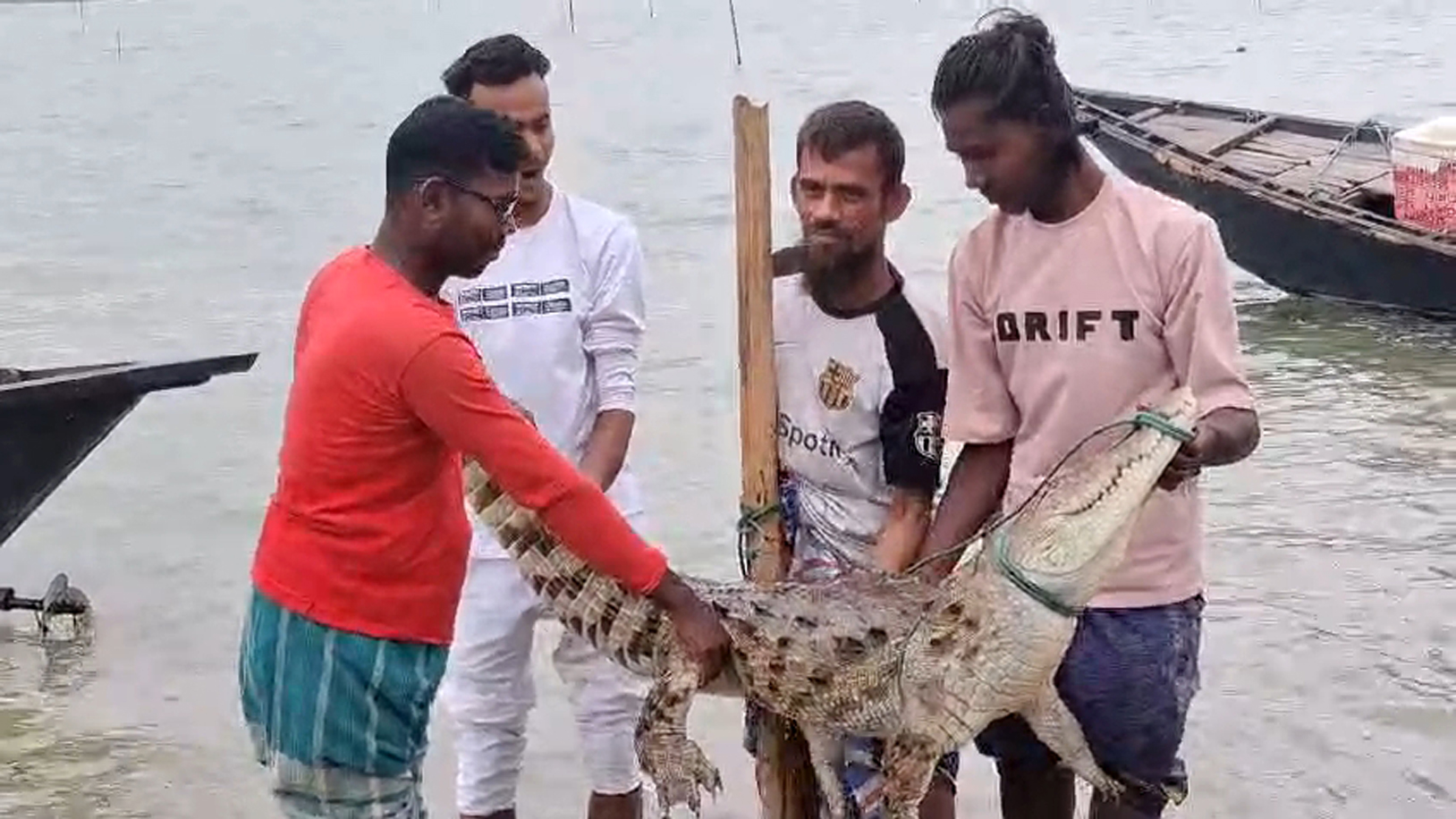 ফরিদপুরে পদ্মা নদীতে কুমির, আটকা পড়ল জেলের বড়শিতে
