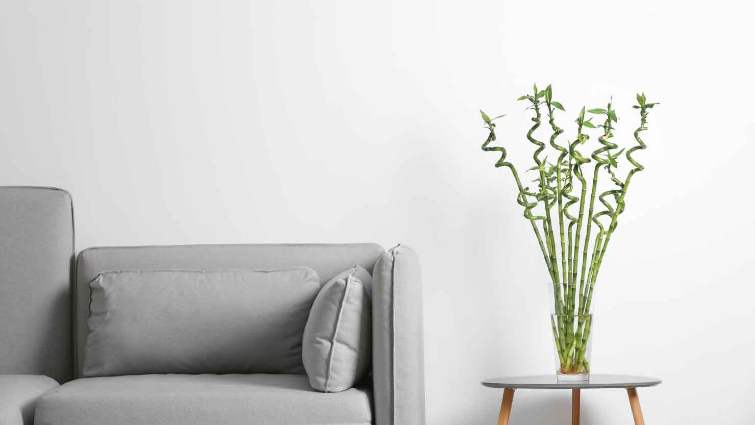 ঘর সাজাতে ইতিবাচক শক্তির বিজ্ঞান ফেংশুই