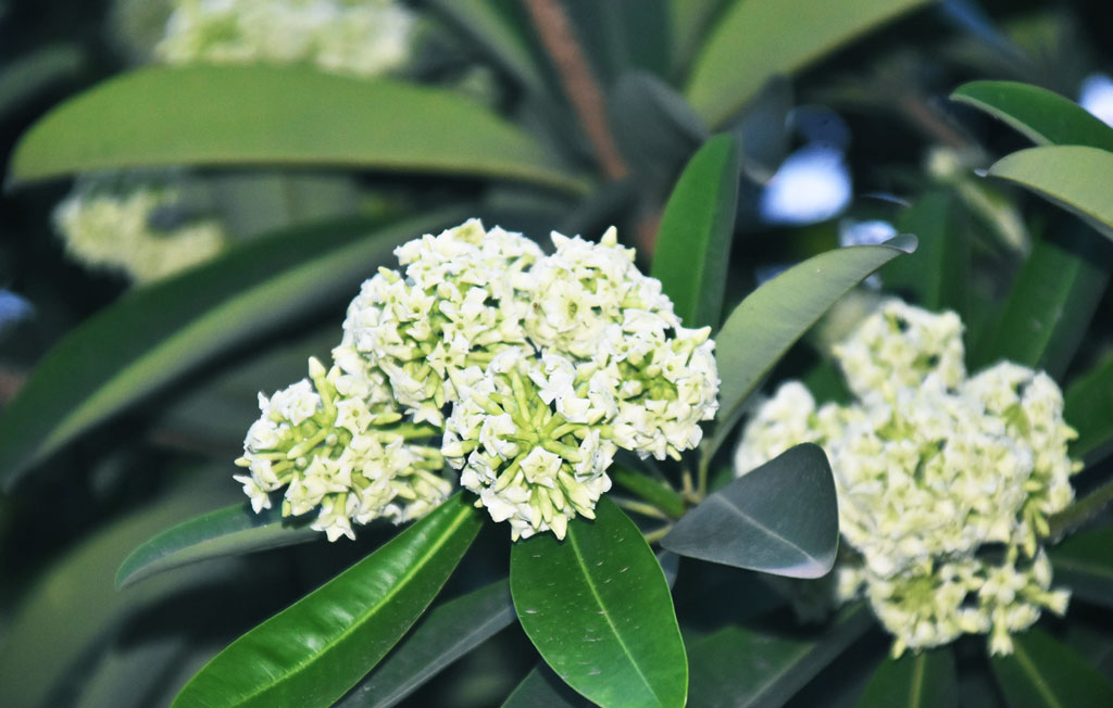 দিনের ছবি (০৪ অক্টোবর, ২০২৫)