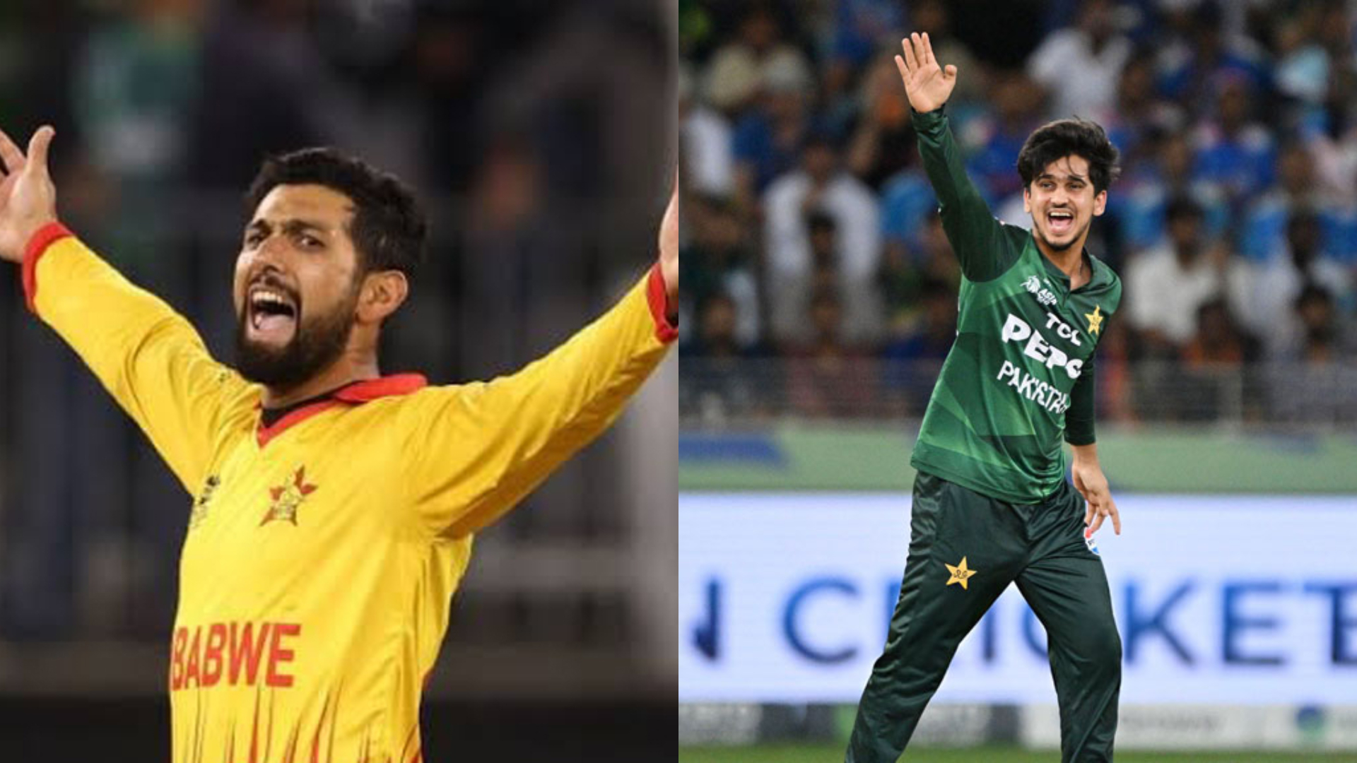 পাকিস্তানি ক্রিকেটারকে হটিয়ে রাজার সিংহাসনে বসলেন  রাজা