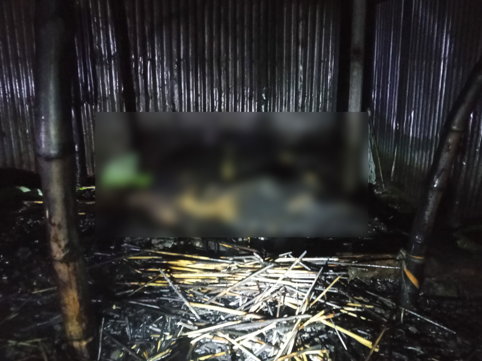 মশার কয়েলের আগুনে পুড়ে মরল দুই গরু, দগ্ধ আরও তিনটি