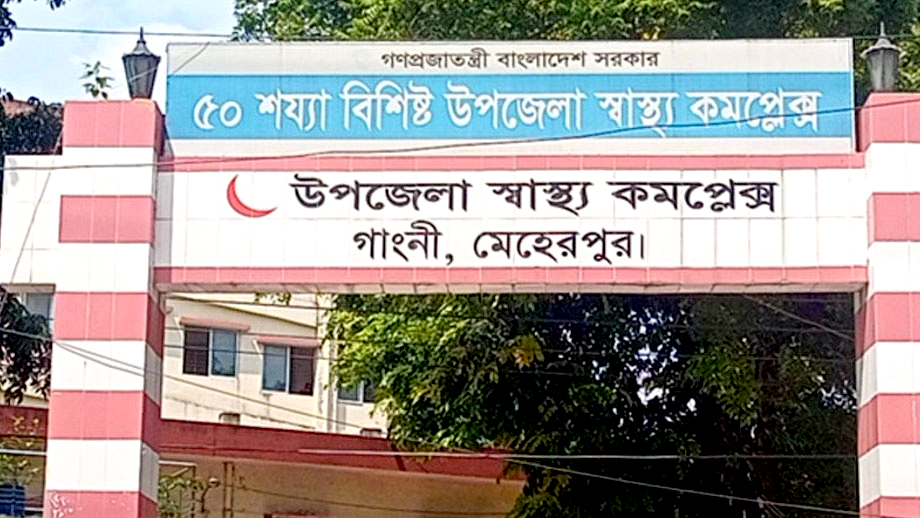 গাংনীতে আবারও পাগলা কুকুরের কামড়ে আহত ২০