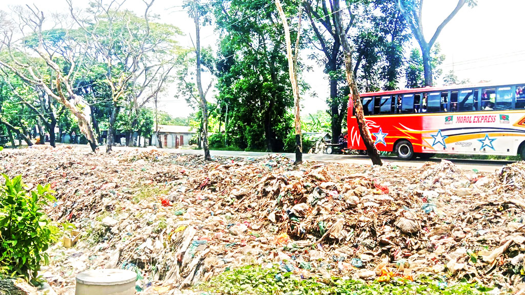মহাসড়ক ঘেঁষে ভাগাড় ছড়াচ্ছে তীব্র দুর্গন্ধ