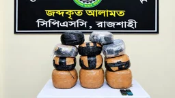 রাজশাহীতে পার্সেল সার্ভিস থেকে ২৮ কেজি গাঁজাসহ গ্রেপ্তার ১