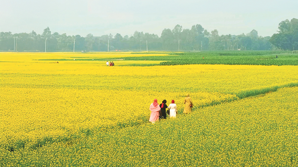 এক দিনের ভ্রমণে ঘুরে আসুন মানিকগঞ্জ