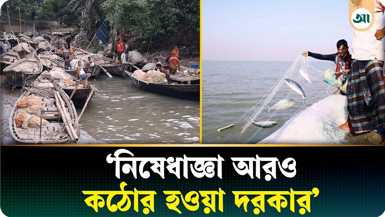 ২ মাসের নিষেধাজ্ঞা শেষে ইলিশ ধরার প্রস্তুতি নিচ্ছেন জেলেরা