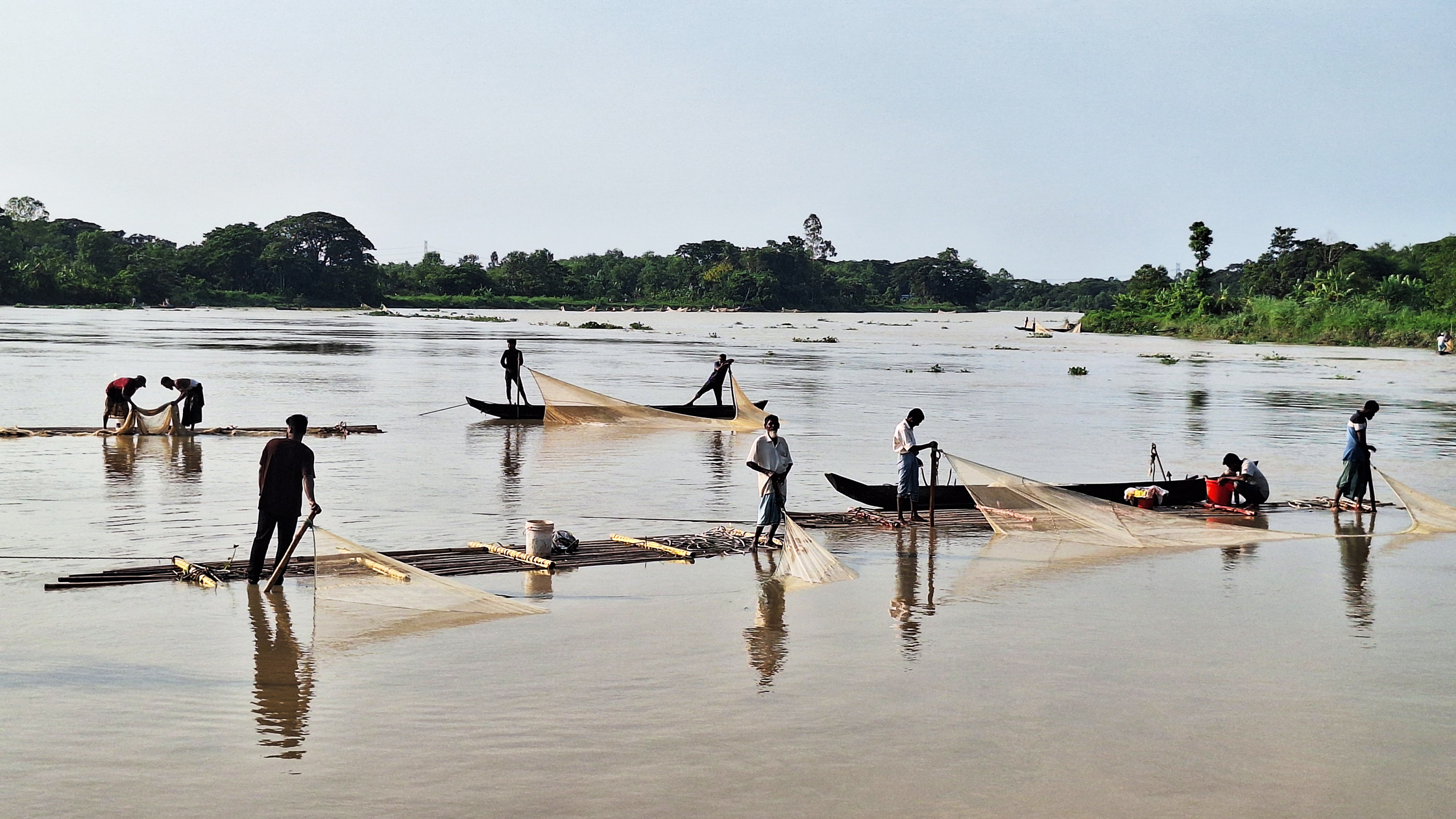 হালদা নদীতে নমুনা ডিম ছেড়েছে মা মাছ