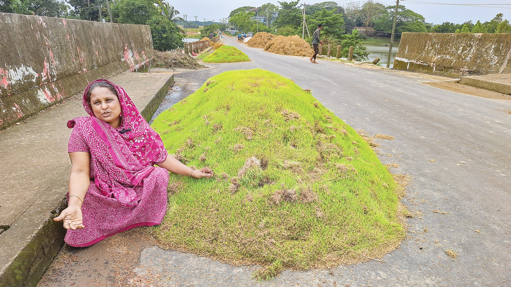 কাটা ধানেও চাল পাচ্ছেন না কৃষক