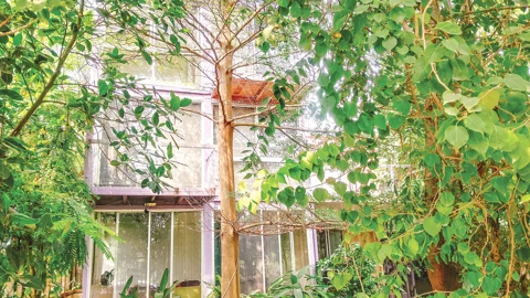 অতি. ডিআইজির বাড়ি: ৫ আগস্টের পর খোলা হয় সেই বাড়ির সিসি ক্যামেরা