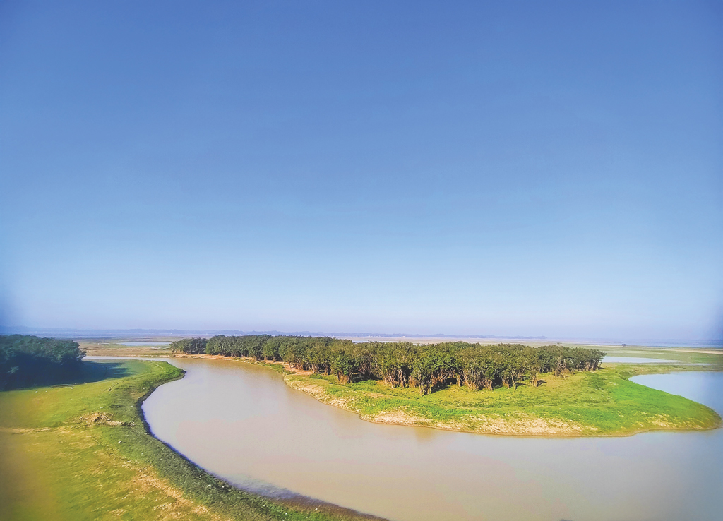 হাকালুকির হিজল বনে