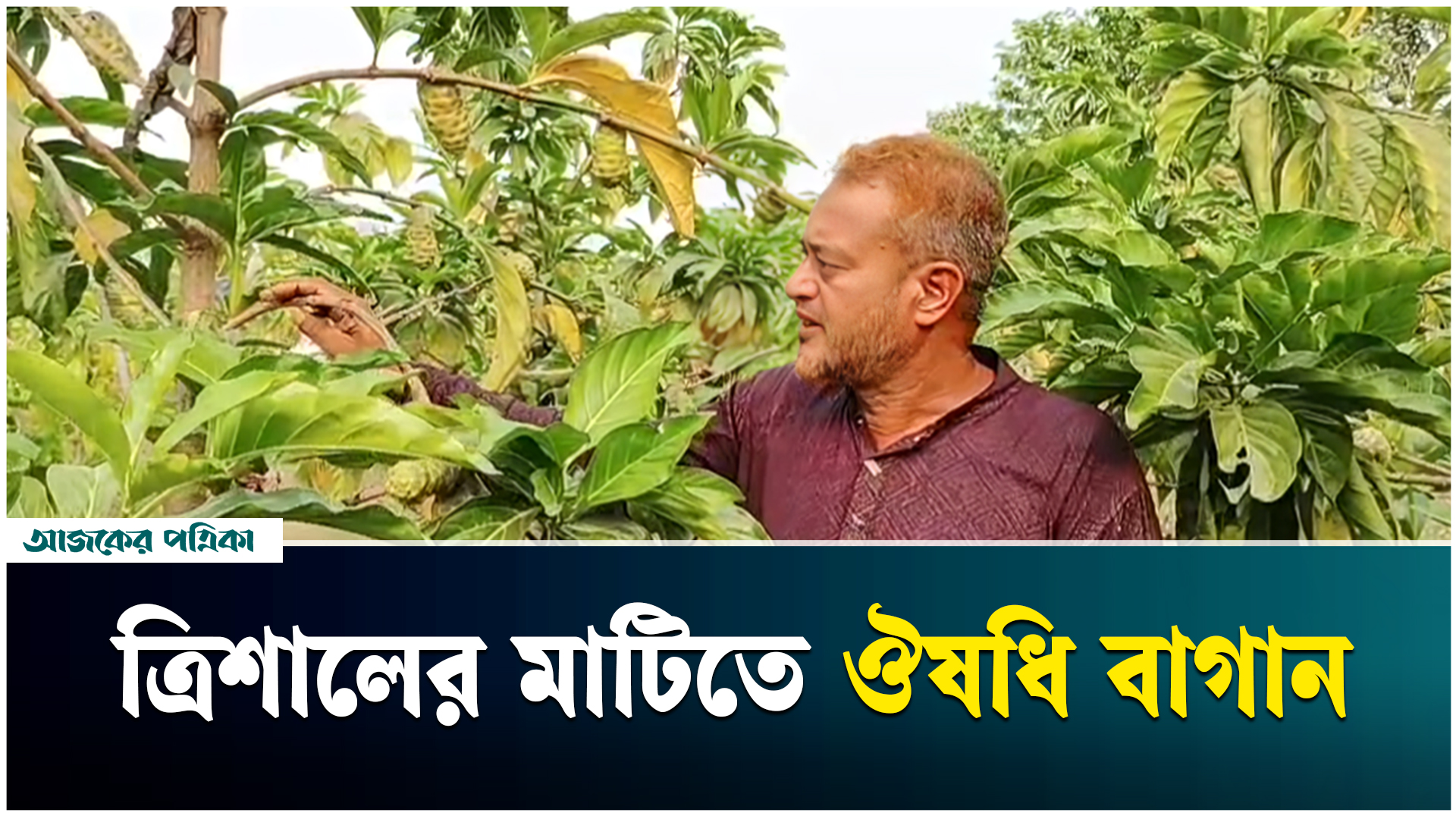 ঔষধি গাছের বাগান গড়ে আলোচনায় ত্রিশালের রফিক