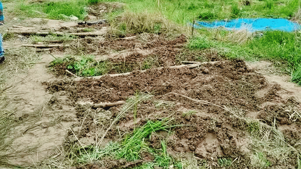 এক রাতে কবরস্থানের ৮ মানবকঙ্কাল চুরি, এলাকায় আতঙ্ক