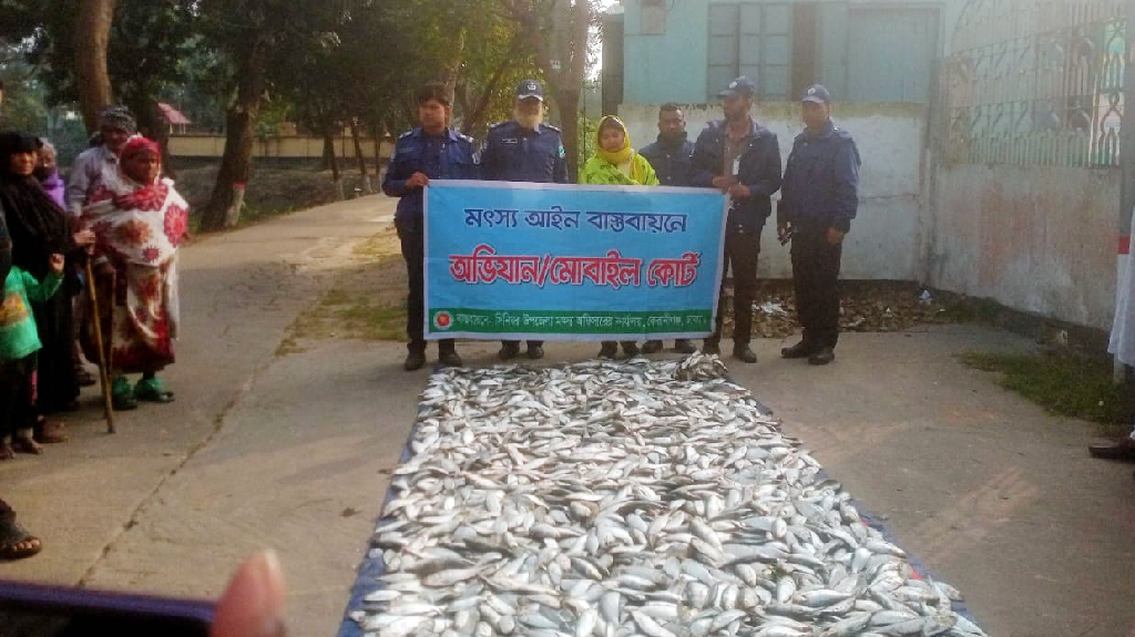 কেরানীগঞ্জে বিপুল পরিমাণ জাটকা জব্দ