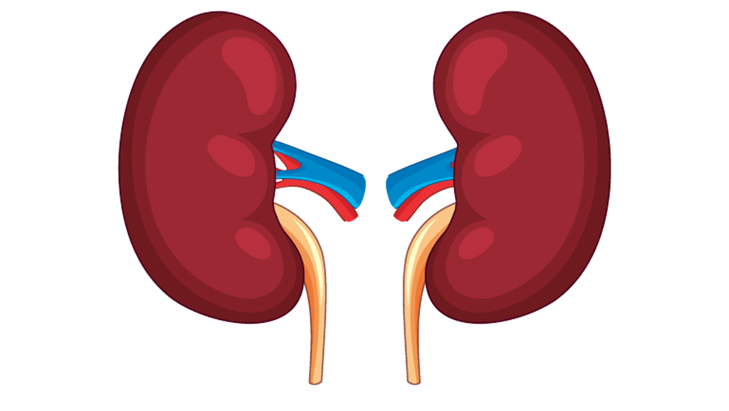 কিডনি রোগীরা রোজায় কীভাবে খাবেন