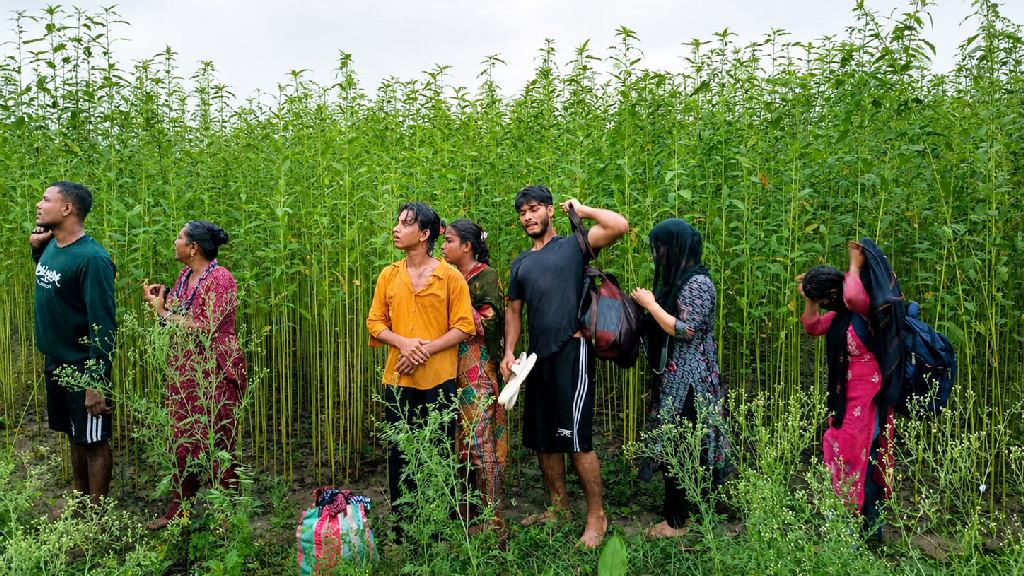 কুষ্টিয়া সীমান্তে ৮ জনকে পুশ ইনের চেষ্টা, প্রতিহত করল বিজিবি