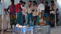 মেঘনায় নিষেধাজ্ঞা অমান্যে ৩৪ জেলে আটক, জব্দকৃত ইলিশ এতিমখানায় বিতরণ