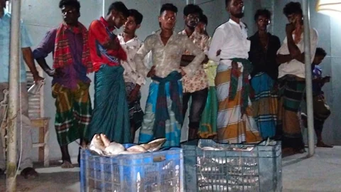 মেঘনায় নিষেধাজ্ঞা অমান্যে ৩৪ জেলে আটক, জব্দকৃত ইলিশ এতিমখানায় বিতরণ

