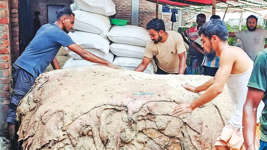 কাঁচা চামড়ার বাজারে প্রাণ ফিরেছে