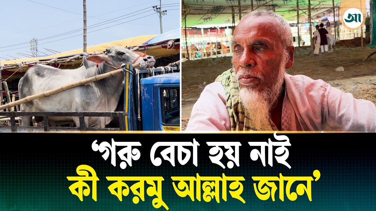 বিক্রি হয়নি গরু, হতাশ হয়ে ফিরে যাচ্ছেন ব্যবসায়ীরা