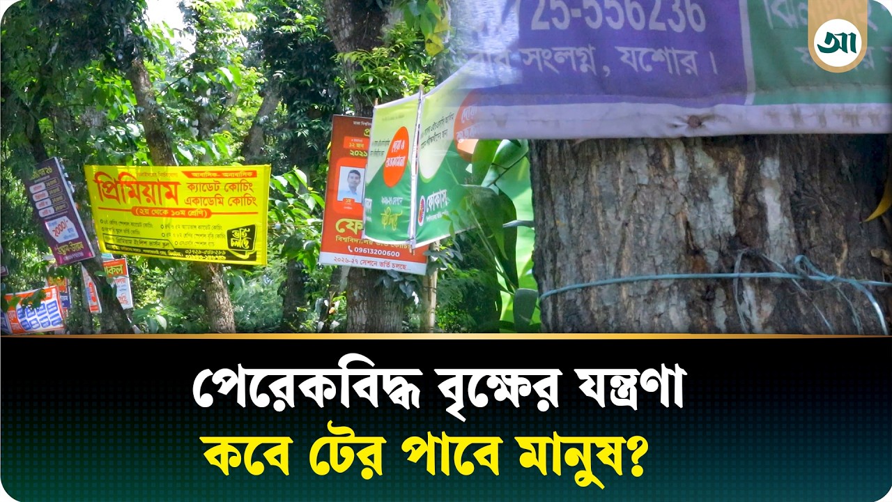 গাছের গায়ে পেরেকের যন্ত্রণা, মানুষের প্রয়োজনই কি শেষ কথা