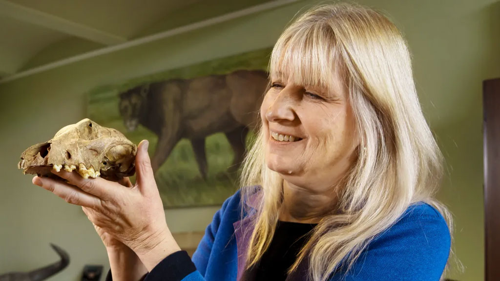 প্রথম কবে মানুষের বন্ধু হলো কুকুর—একটি খুলি ঘিরে নতুন বিতর্ক