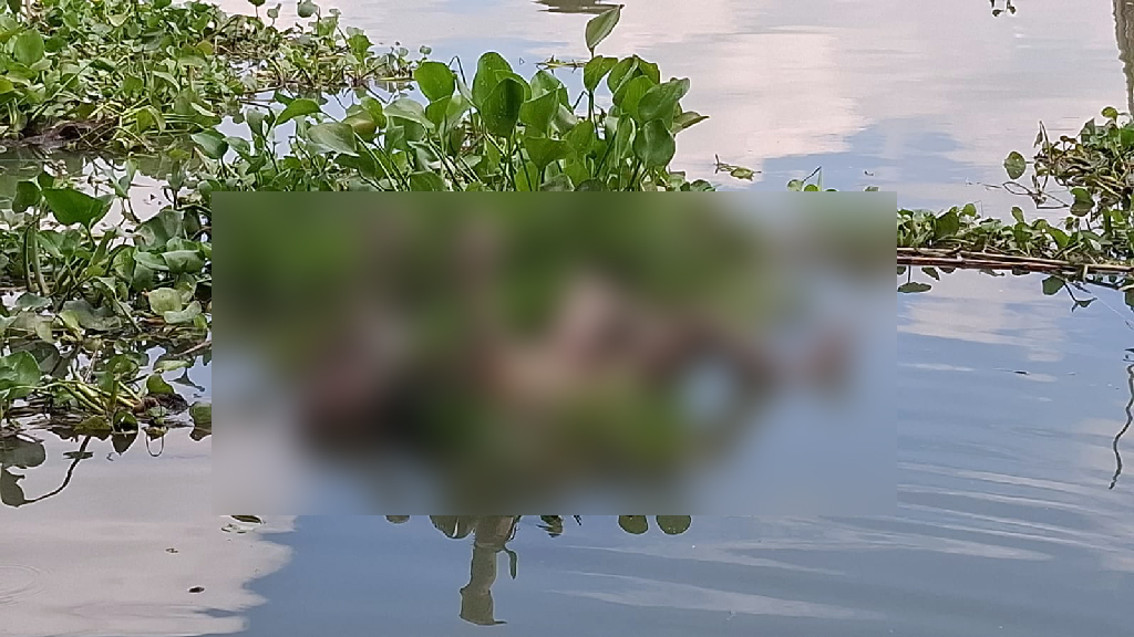 ইছামতী নদী থেকে বৃদ্ধের মরদেহ উদ্ধার